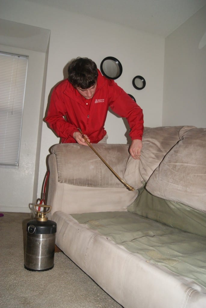 ABC Termite & Pest Control Bed Bugs ABC's Four Step Process