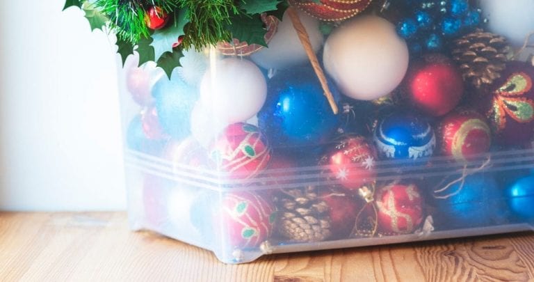 pest-free-holiday-decorations | ABC Termite & Pest Control