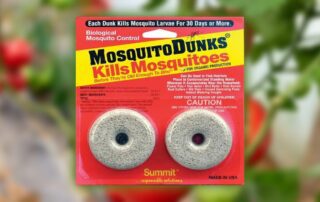 Mosquito Dunks 101