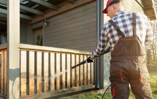 How Spring Cleaning Should Include Pest Control