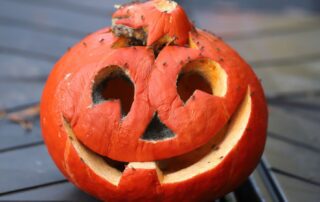 Post-Halloween Pest Prevention