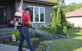 How Does Mosquito Treatment Work And How Long Does It Last?