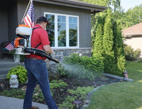 How Does Mosquito Treatment Work and How Long Does It Last?