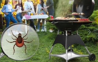 What Are the Most Effective Ways to Keep Ticks Away From Kids and Pets?