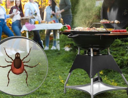What Are the Most Effective Ways to Keep Ticks Away From Kids and Pets?