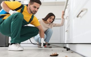 What Are the Signs of Termites or Pest Infestations, and When Should You Call a Professional?