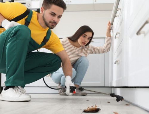 Is It Safe To Stay In My Home During a Pest Infestation?