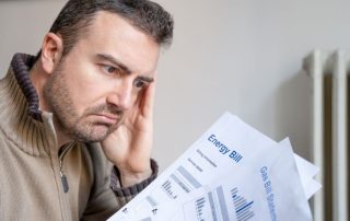 pest damage in insulation