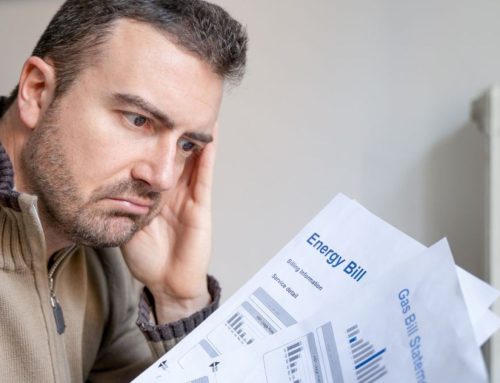 Why Your Energy Bills Are Spiking: The Pest Damage Hiding in Your Insulation