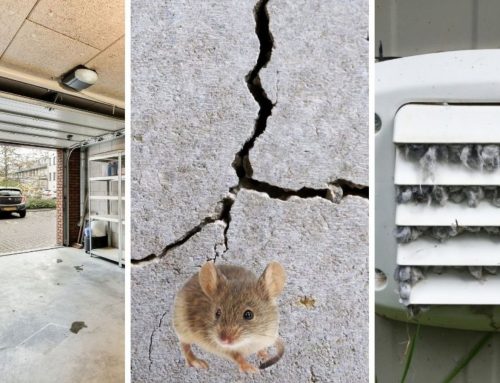 How Do Mice Get Into Homes? Common Entry Points Around Omaha Houses